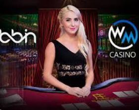 PG免费版模拟器电脑免费版